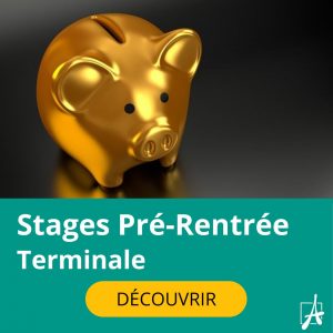 Stages intensifs terminale
