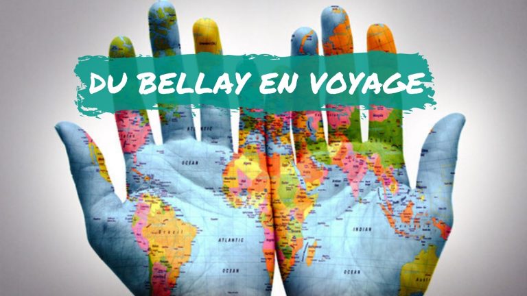 Du Bellay en voyage, le concours international de poésie des lycées français du monde