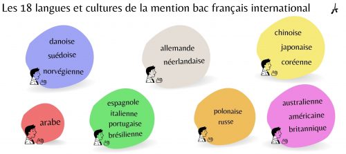 Langues et cultures de la mention bac français international